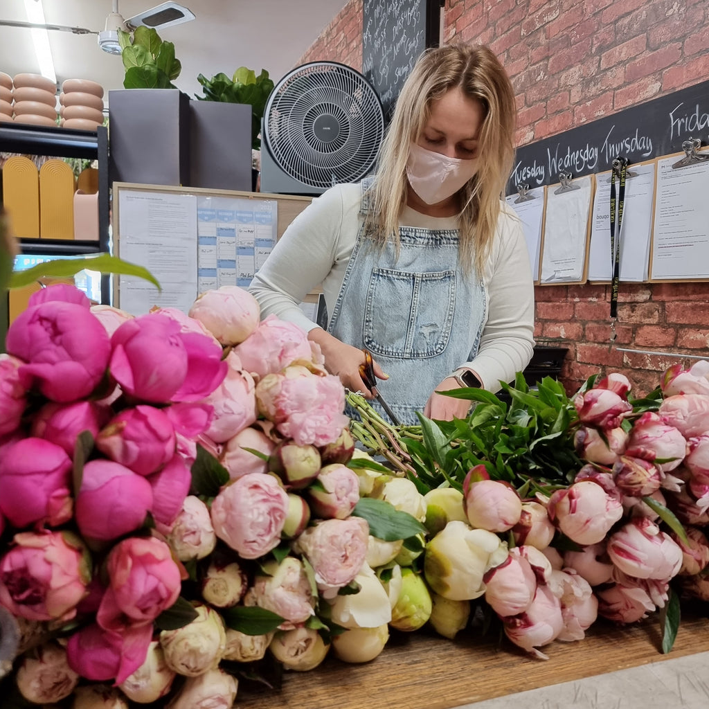 Lets celebrate Peony Season New Zealand