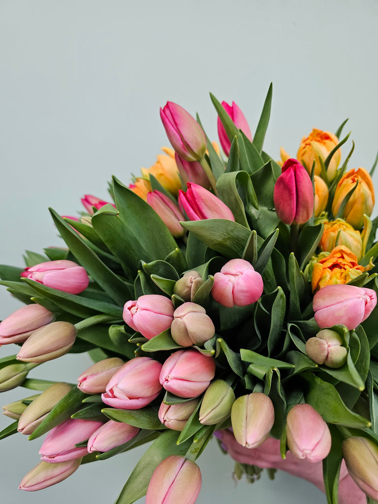 Florist Island Bay