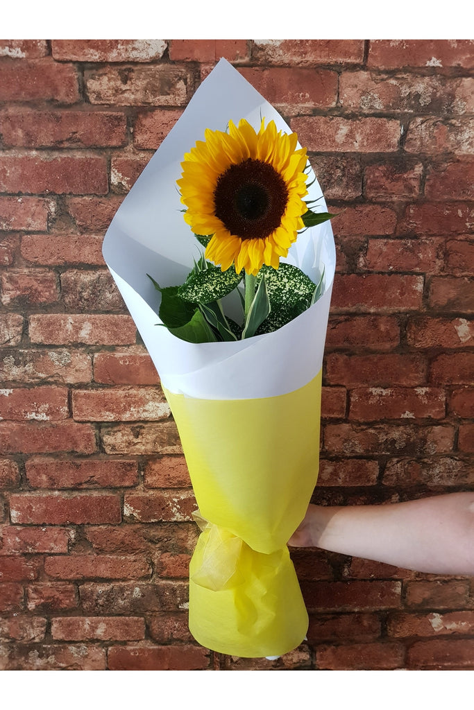 A beautiful sunflower with lush foliage ,beautifully wrapped, sent with a gift card containing your own personal message, and wet wrapped on the stems’ ends to ensure freshness.