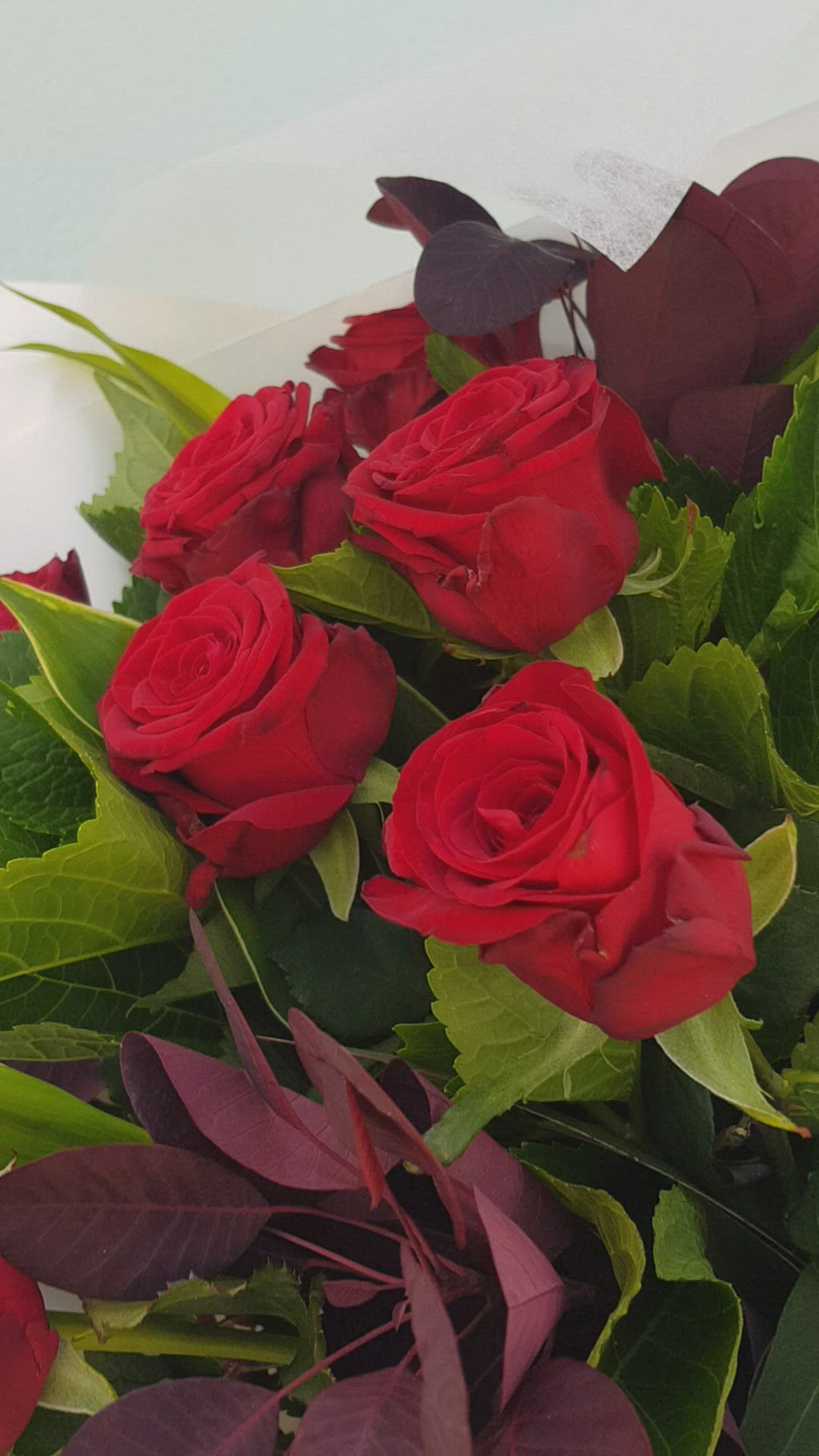 This Bouquet is made from 12 long steamed Red Roses, arranged with a lush mix of foliage,  beautifully wrapped, sent with a gift card containing your own personal message, and wet wrapped on the stems’ ends to ensure freshness.